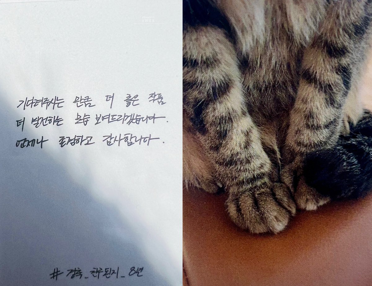 🫶🏼😭🤍 사랑해

Let’s walk together for 80 years more.

#경축_친구된지_8년

#ROWOON_8TH_ANNIVERSARY #ROWOON #로운 
#김석우 #ロウン #โรอุน