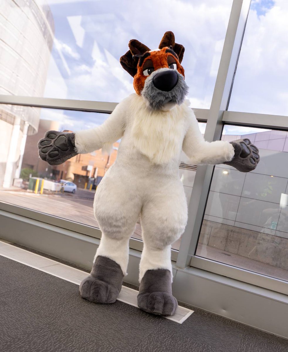 Denver Dodger Dog tweet media