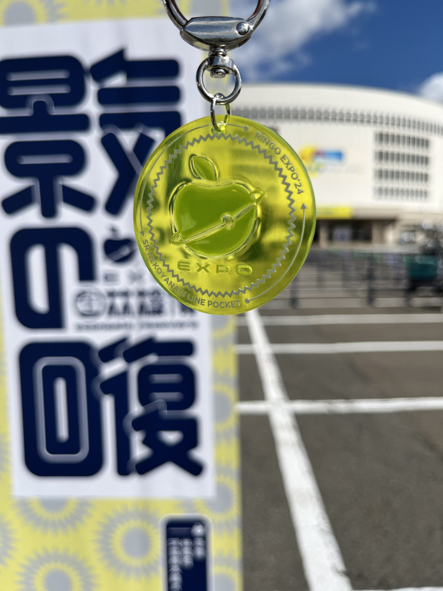 SR猫柳本線ポケット」オフィシャル on X: SR猫柳本線ポケット」オフィシャル on X: