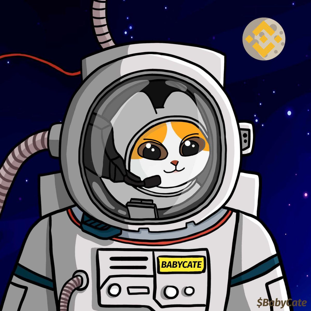 #BabyCate - The Next 100x Gem for Meme Coin Lovers!
Listing On DEXs 
Listing On CMC &amp; CG 
Listing On CEXs 
Big Event Celebrating The Return Of CZ
🌐 Website: babycate.net 
KXKR36

#cgc #coingeckgo #forexlife #trading #finance