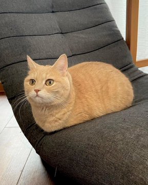 irem ülker tweet media