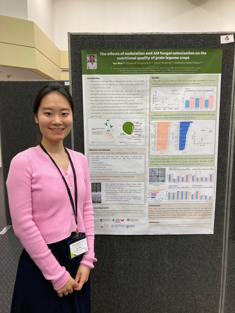 Conference on a Saturday! Well done to Wen Yan on the presentation of her poster on #mycorrhiza and #nodulation interactions in pulse crops at #ANFC2024