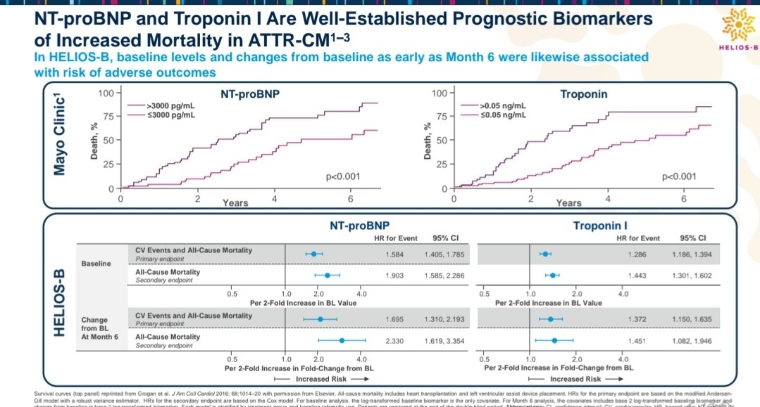 MasriAhmadMD's tweet photo. More data from #HeliosB on NTproBNP and troponin presented #HFSA2024 - vutrisiran vs placebo on the background of tafamidis in 40% at baseline and another 10% drop in during the trial.
Consistent effect across all subgroups, including those on baseline tafamidis
#CardioTwitter https://t.co/t0srkxQyAn
