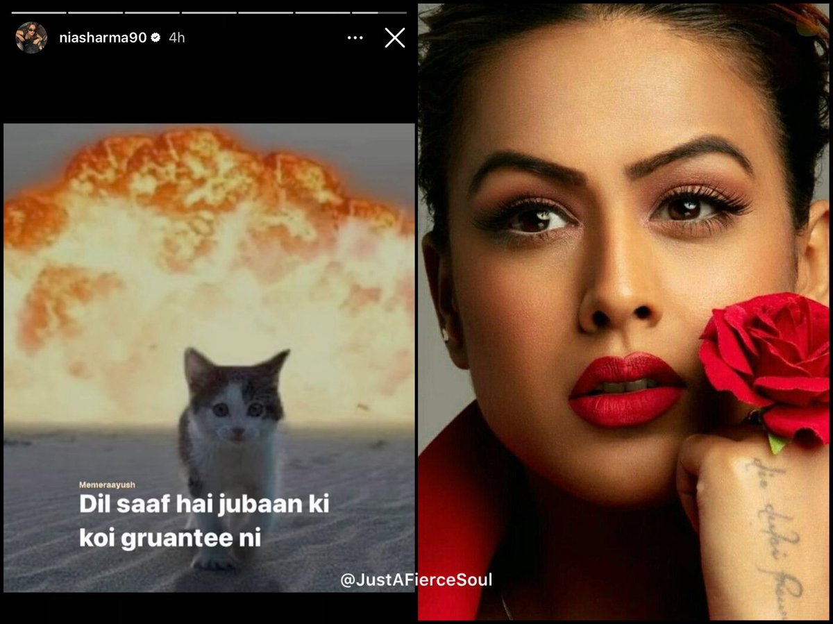 "𝐃𝐢𝐥 𝐬𝐚𝐚𝐟 𝐡𝐚𝐢..𝐉𝐮𝐛𝐚𝐚𝐧 𝐤𝐢 𝐤𝐨𝐢 𝐠𝐮𝐚𝐫𝐚𝐧𝐭𝐞𝐞 𝐧𝐚𝐡𝐢!!"🔥

- Next time do not ask me why I connect &amp; relate with Nia Sharma so much!!😌

#NiaSharma #BiggBoss18 #BB18 #LaughterChefs