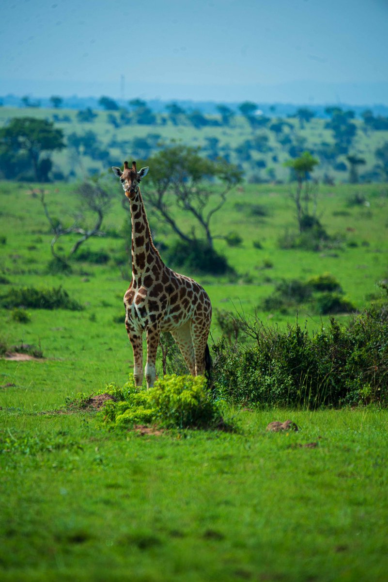 Kuamka ni rehema zake MUNGU uwe na siku njema
Good morning fam❤️❤️