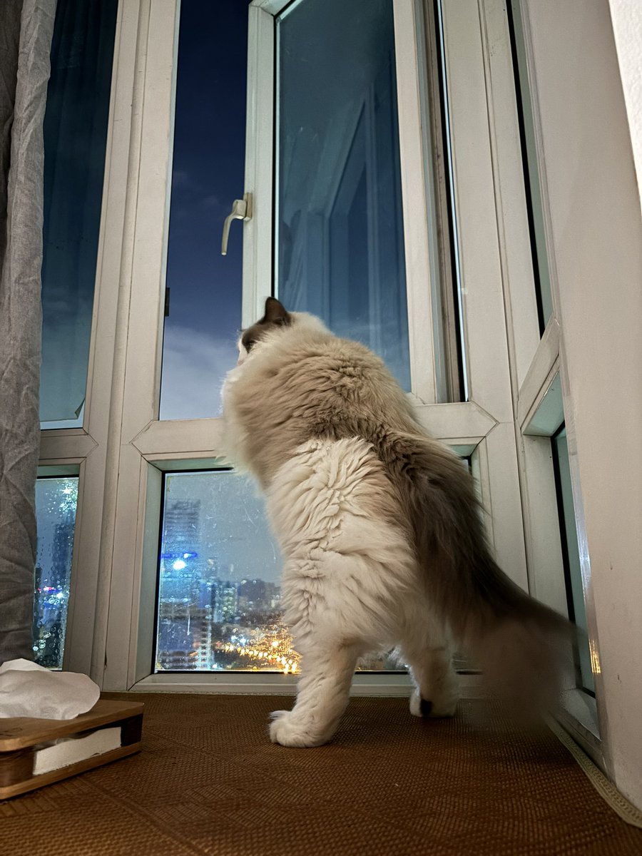 朋友圈最近被结婚刷屏了
而我还在抱着糖糖问：“师傅，你是做什么工作的？”