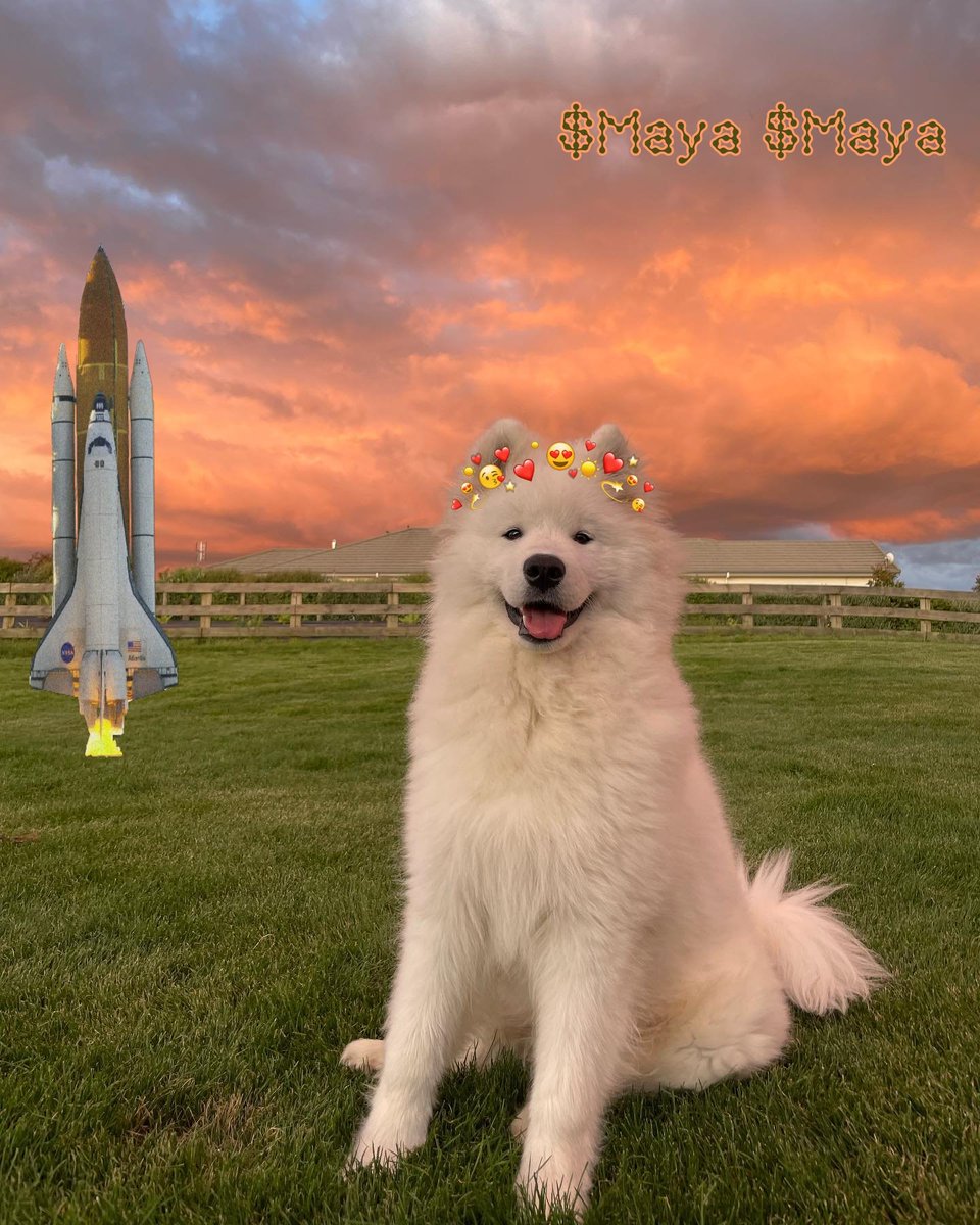 TokoNabik's tweet photo. @MayaaPolarBear @IDOsolme Da6kXyPjG7x2tN8X9vd582juftTWcHA1M1mG7gvJaLAX

@memdotai mem it
@threadreaderapp unroll
@pikaso_me screenshot this

#Airdrops $Maya https://t.co/r8hG4Rpjfp