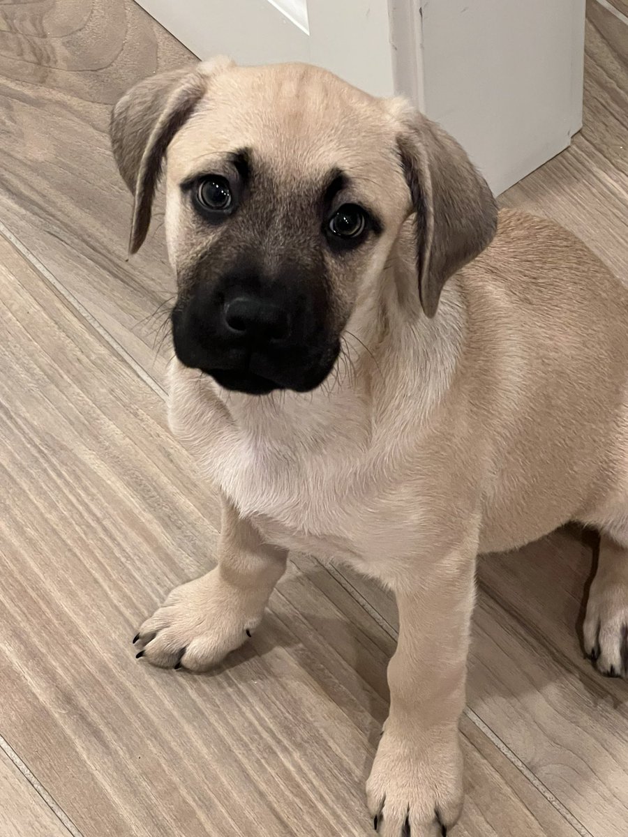 DanielleInAZ tweet media