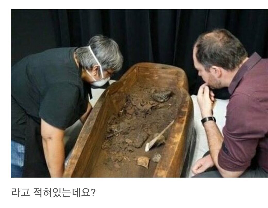 보이드 여자 좋아하는 계정 tweet media