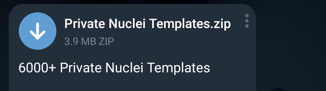 6000+ Private Nuclei Templates
t.me/ExploitQuest/42
