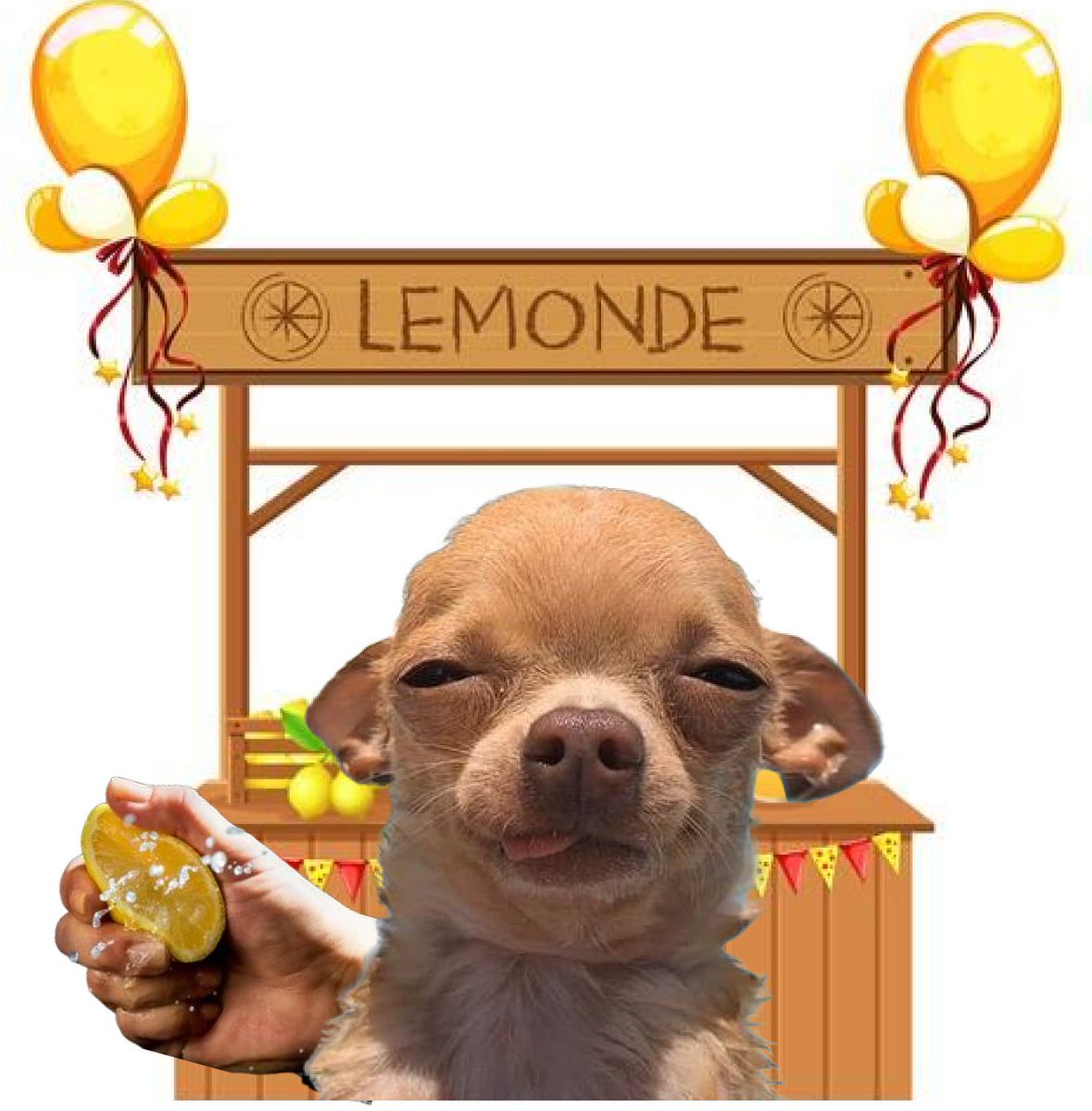 CDOGE tweet media