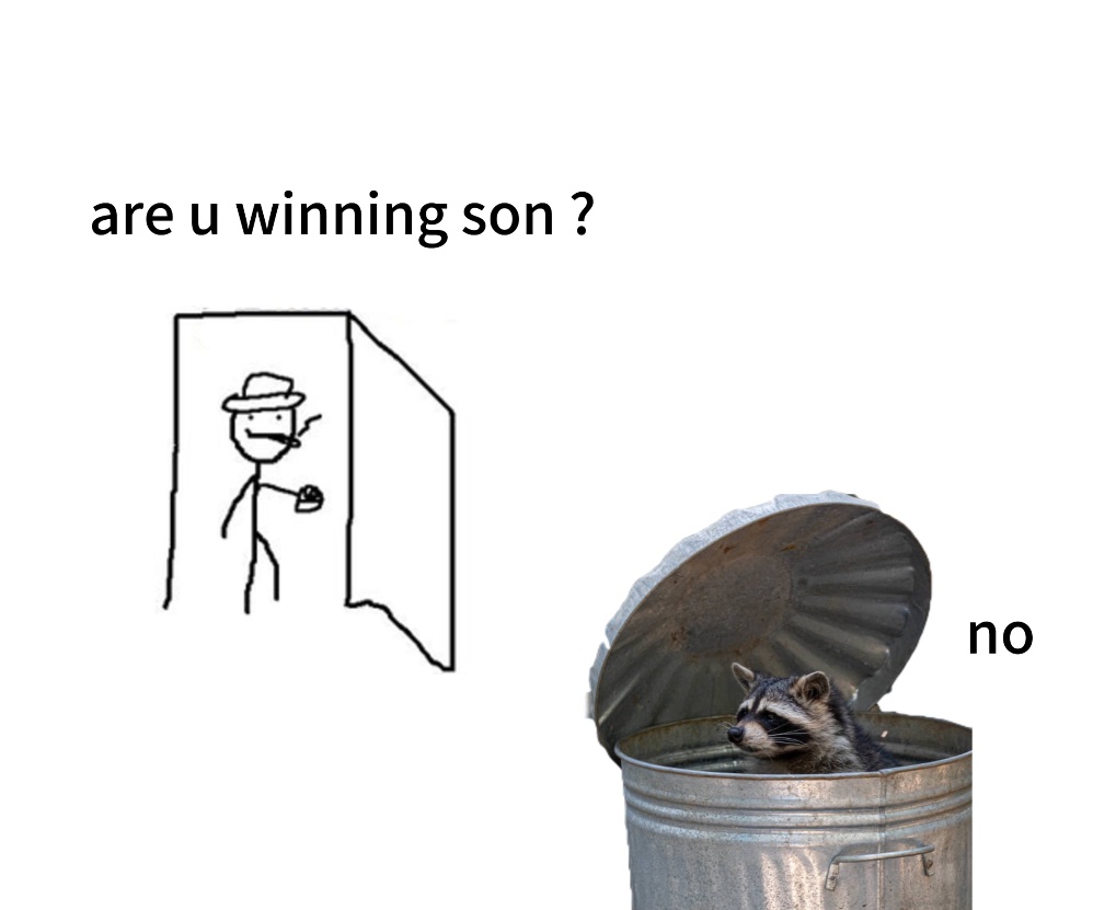 raccoonesthetic's tweet image. 