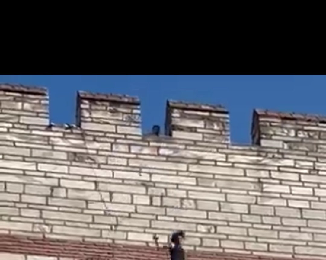 Gllalp's tweet photo. Bu iğrenç cinayetin içinde sadece bir katil mi var bu katilin aşağıya atlarken ki görüntüsü tek suçlu katil mi  görüntüde arkasında görünen şahıs kim araştırılsın 
#ikbaliçinadalet #ikbal #turkishwomenareindanger #ikbaluzuner
#Emniyet #Emg https://t.co/zx1H8qVuqe