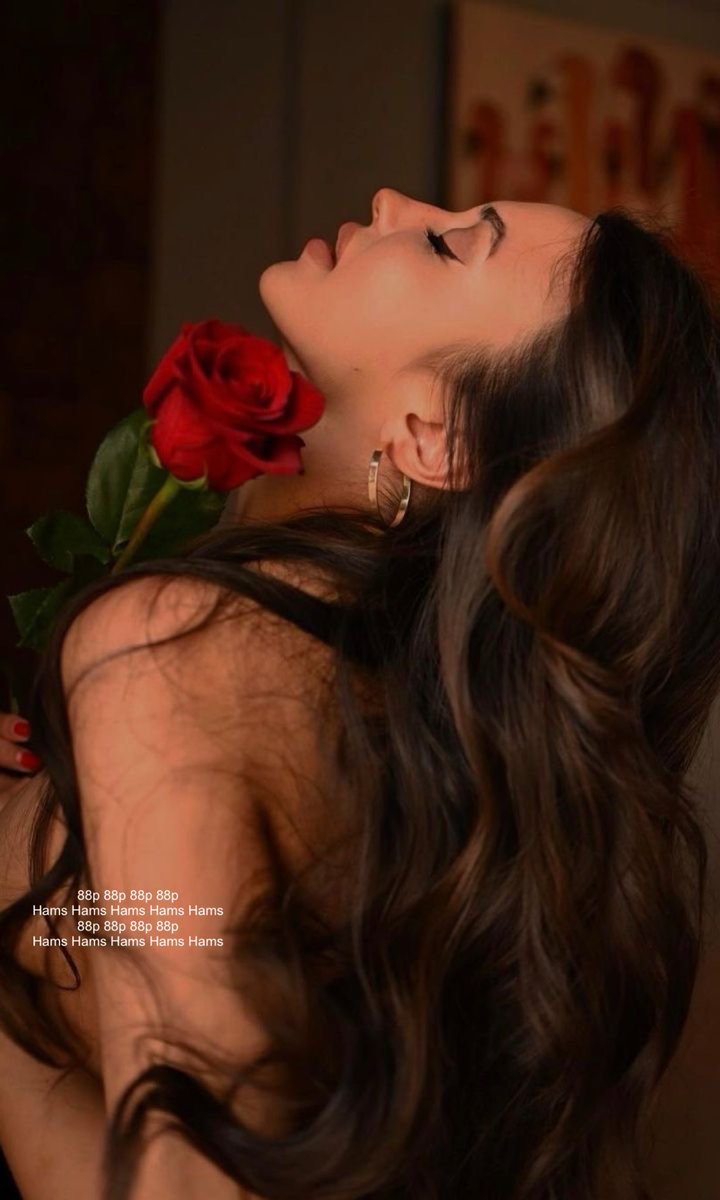 𝐇𝐚𝐦𝐬 tweet media