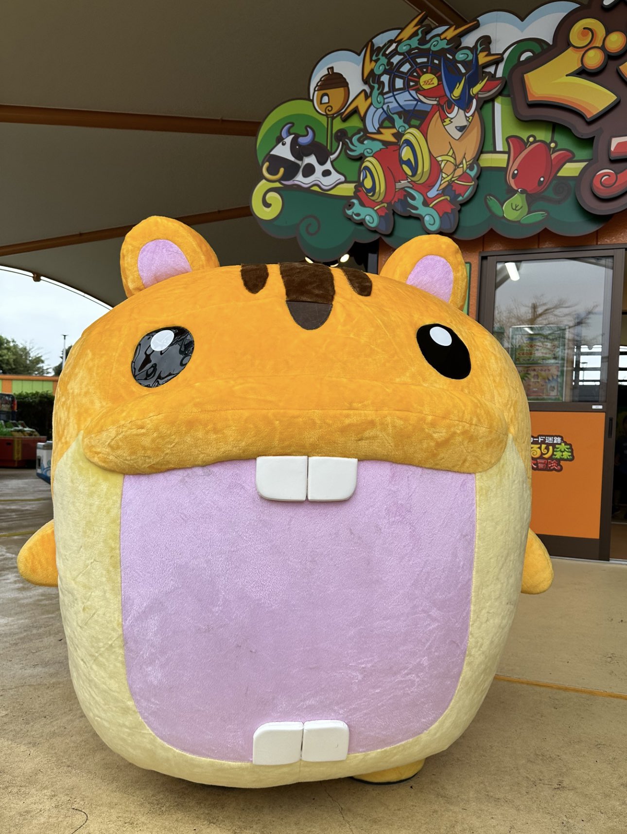 ぐるり森　コッキー&モスモス　海くん・花ちゃん　浴衣　廃盤激レアです ぐるり森 廃盤激レア ひたち海浜公園 浴衣 海くん 花ちゃん