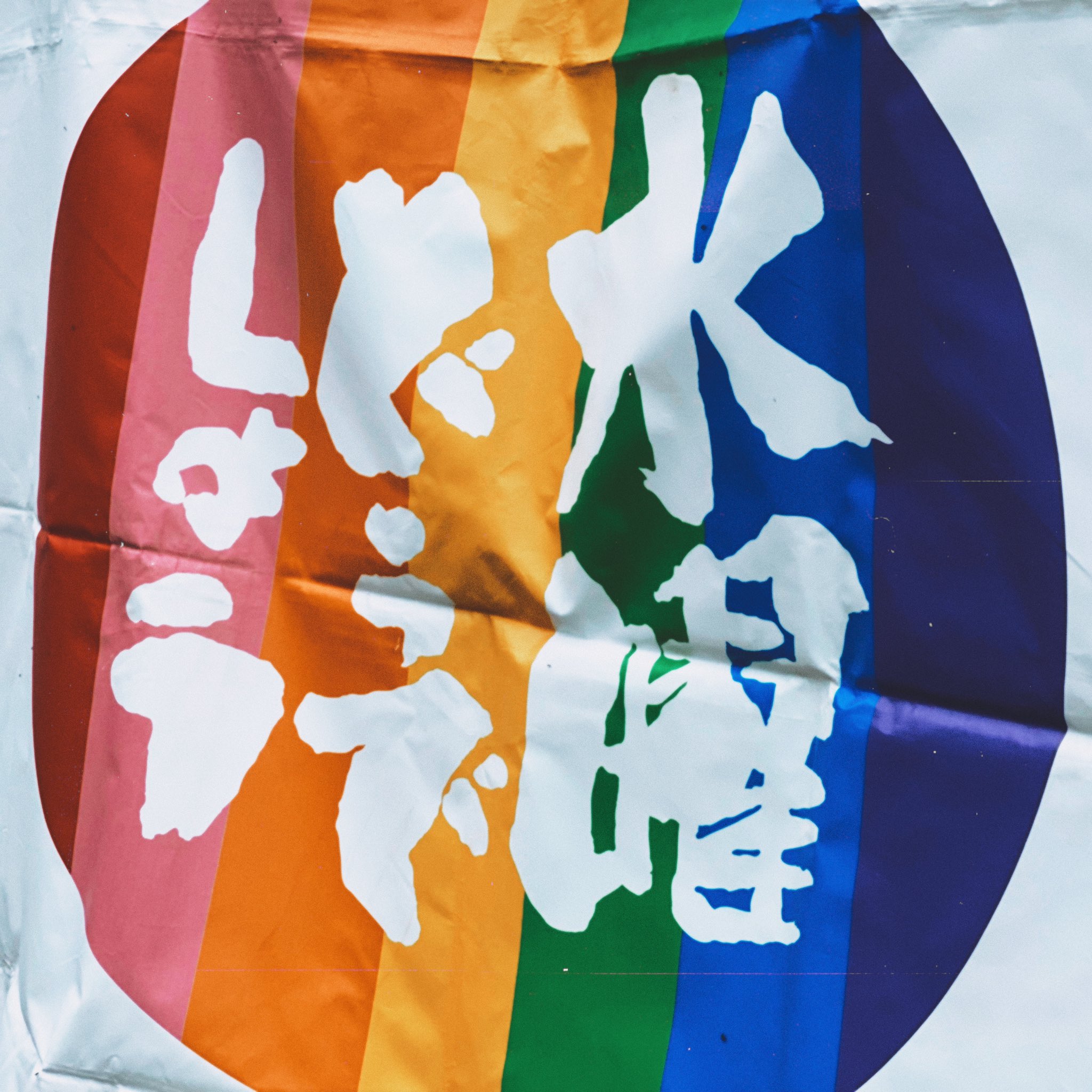 水曜どうでしょう、有田焼どんぶり、ミスター映画パンフ等　20点+α お盆限定値下げ】水曜どうでしょう、有田焼どんぶり、ミスター