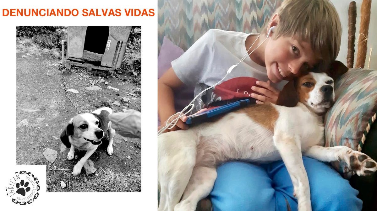 Eran 𝙸𝙽𝚅𝙸𝚂𝙸𝙱𝙻𝙴𝚂 hasta que alguien como 𝚃Ú nos lo contó
Te sumas?
👉1€/mes teaming.net/indican 
👉Asociándote 12€/año: IBAN ES44 0049 3063 35 2114137716. 
👉Adoptando o siendo casa de acogida
👉Firmando: change.org/sincadenasenGa…
#SonFamilia💚#ValoresQueTransforman