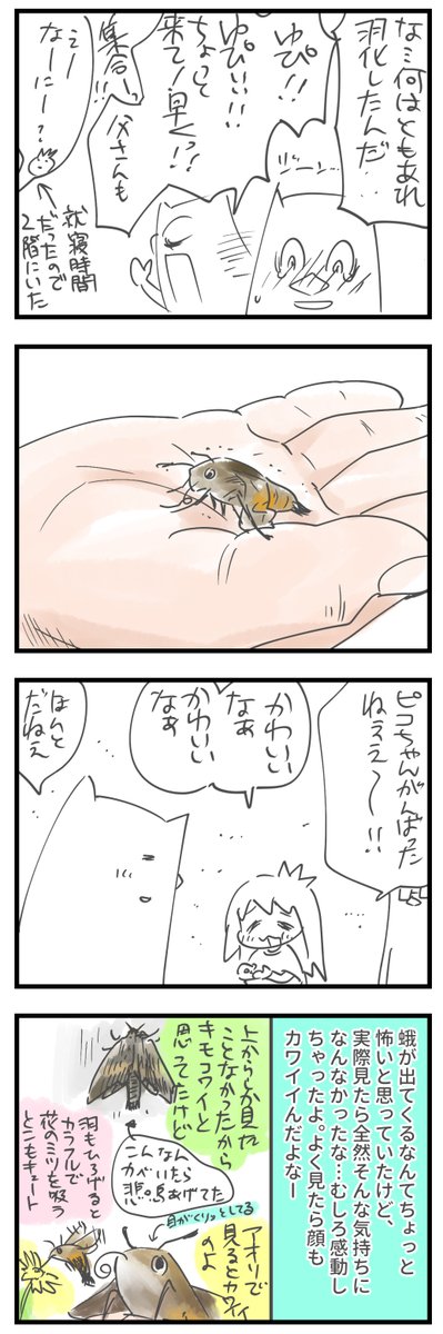 むすめ、イモムシを飼う⑦(※虫が苦手な方はご注意) https://t.co/cJlBpNI4G7 
#イモムシ #ホシホウジャク #飼育日記 #育児漫画 #むすめ雑記帳
生き物を飼うヨロコビとカナシミ。(長いので続きはリンクから↑) 