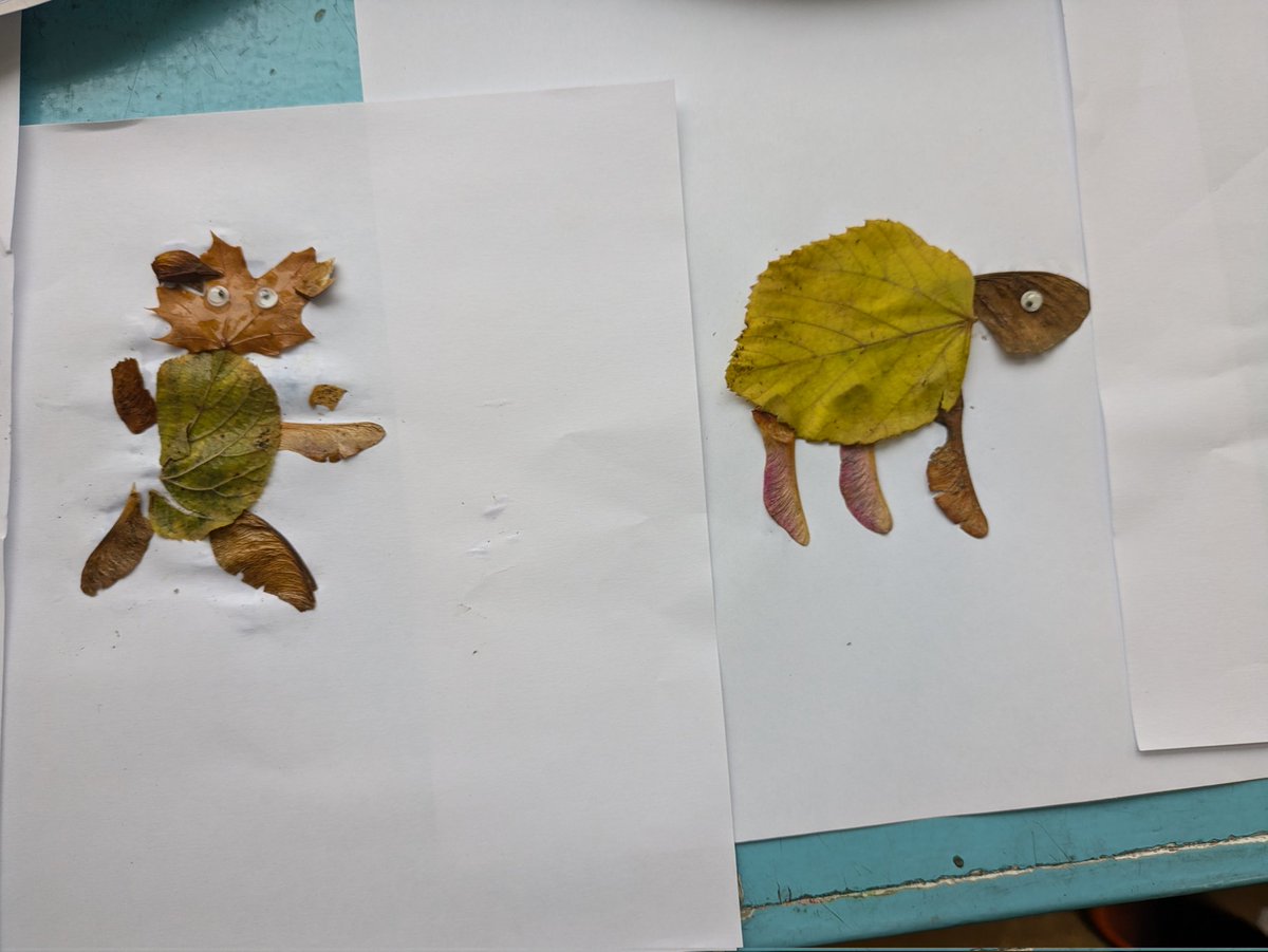 P4/3 had fun creating collages using natural materials found in our playground!