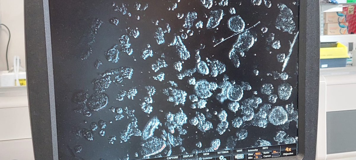 Christian Molina Aguilar tweet media