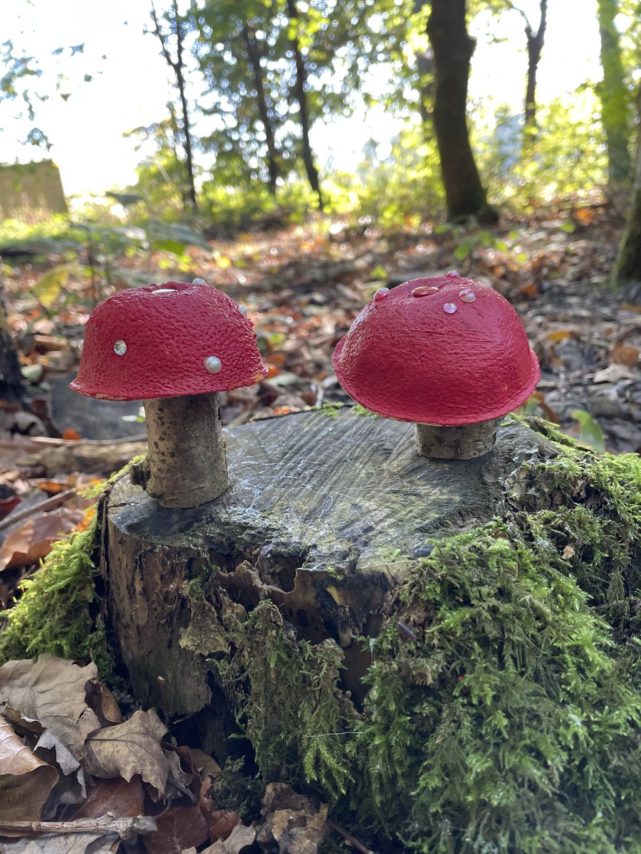 PipersForestSch's tweet image. Reception @piperspreprep enjoyed making these lovely fly agaric mushrooms to decorate our magical forest path 🍄 🧚‍♂️ #autumn #getoutdoors #pipersgrounds #forestfun