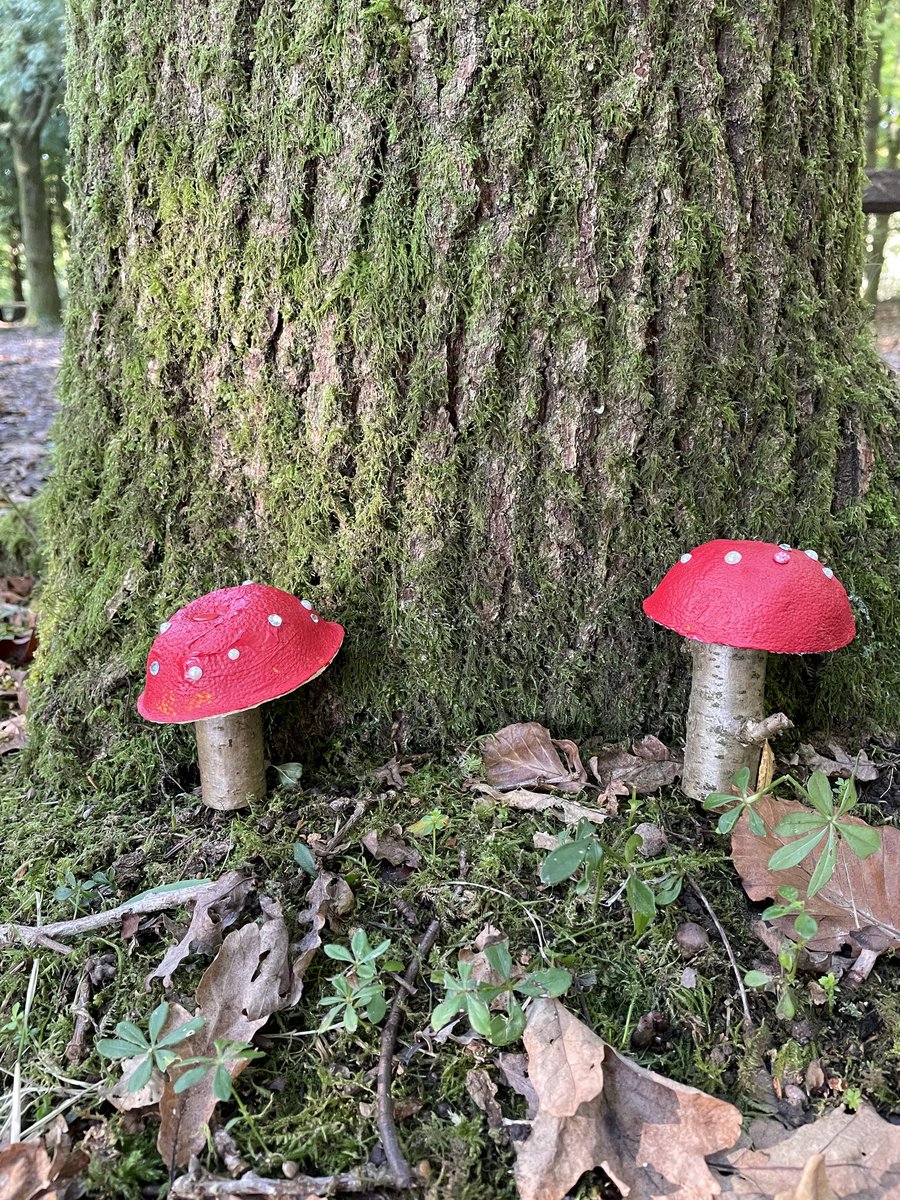 PipersForestSch's tweet image. Reception @piperspreprep enjoyed making these lovely fly agaric mushrooms to decorate our magical forest path 🍄 🧚‍♂️ #autumn #getoutdoors #pipersgrounds #forestfun