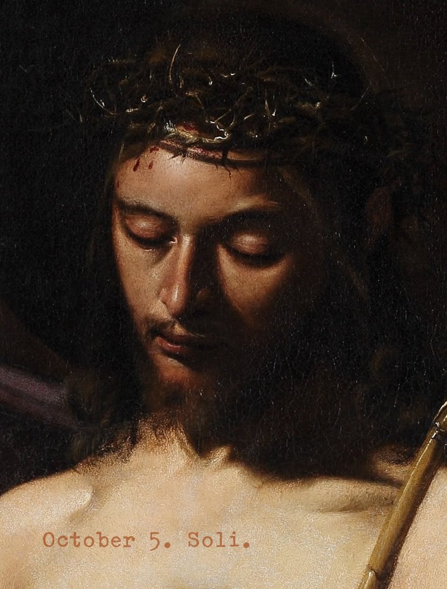 soli (@solisolsoli) on Twitter photo 