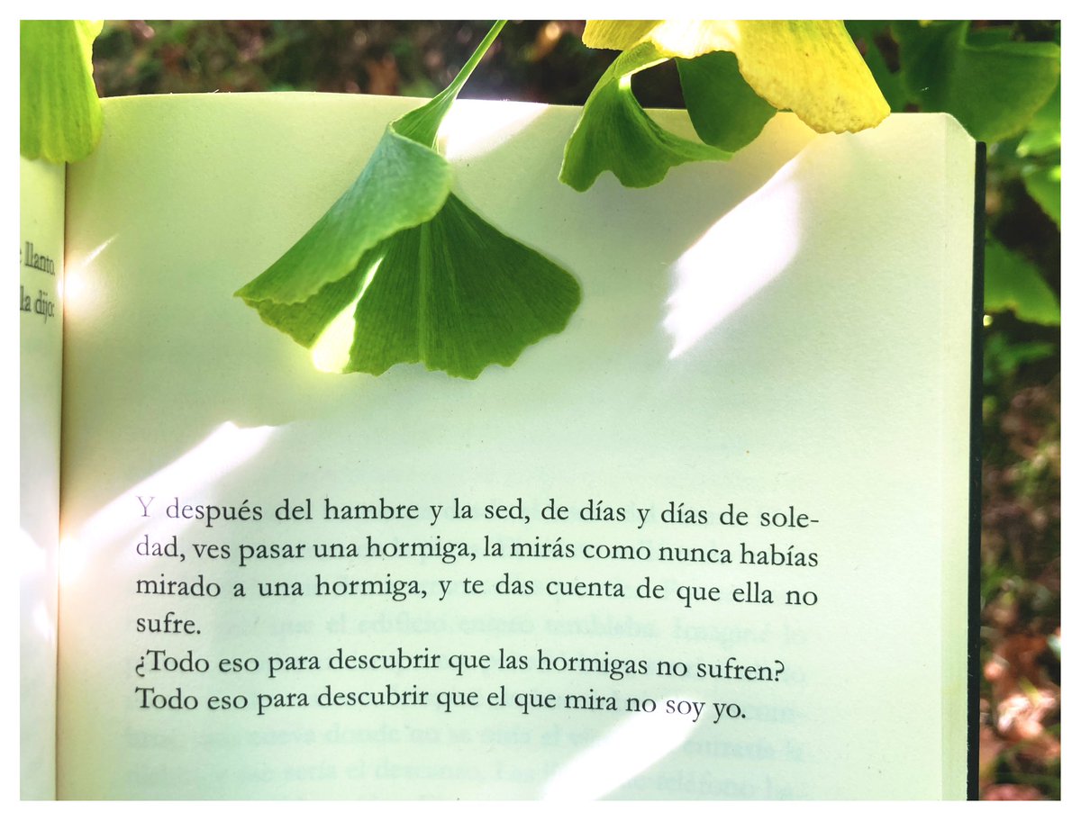 #MugreRosa #FernandaTrías 📚