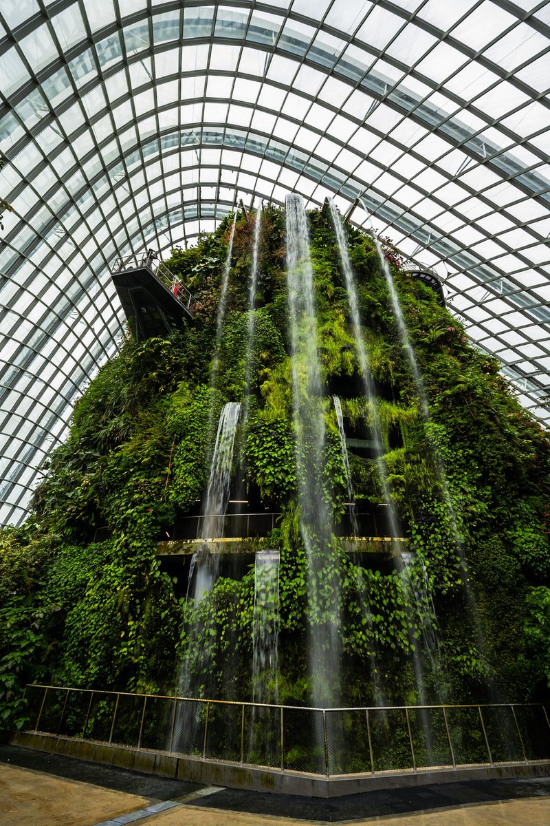 javanng's tweet photo. Cloud Forest at Gardens by the Bay.
#gardensbythebay #nparkbuzz #singapore #thisissingapore #seemycity https://t.co/LD2lUfQ5u8