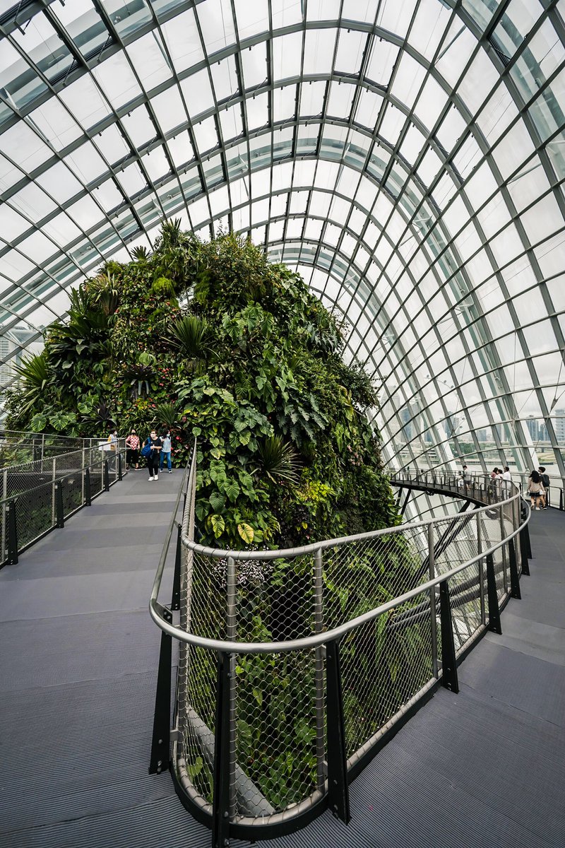 javanng's tweet photo. Cloud Forest at Gardens by the Bay.
#gardensbythebay #nparkbuzz #singapore #thisissingapore #seemycity https://t.co/LD2lUfQ5u8