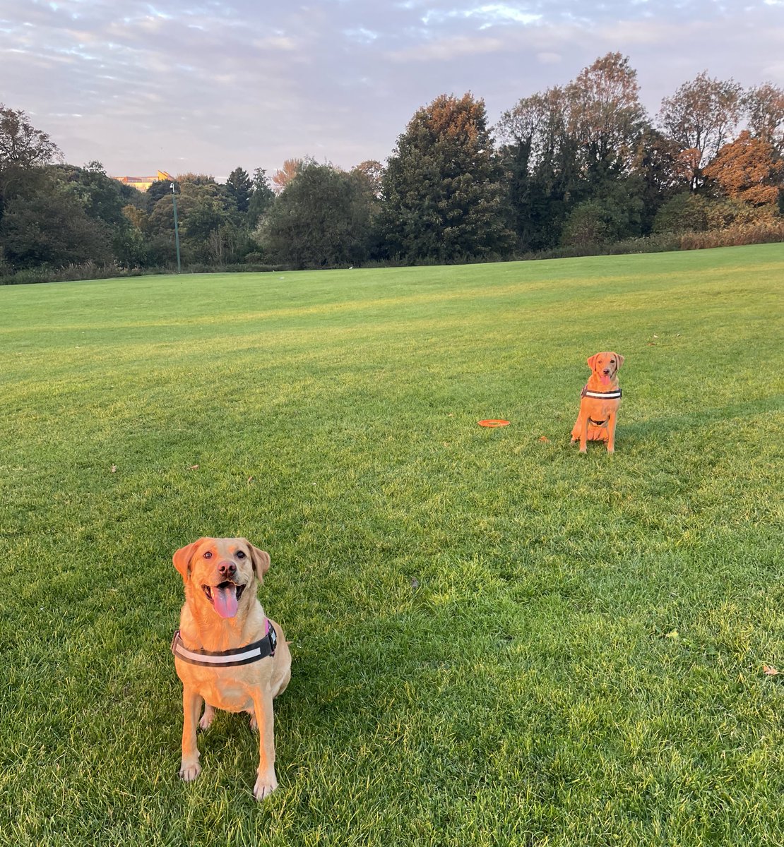 BeckyDewhurst's tweet photo. October Mornings are special 🍁 https://t.co/ERaIT7SR7T