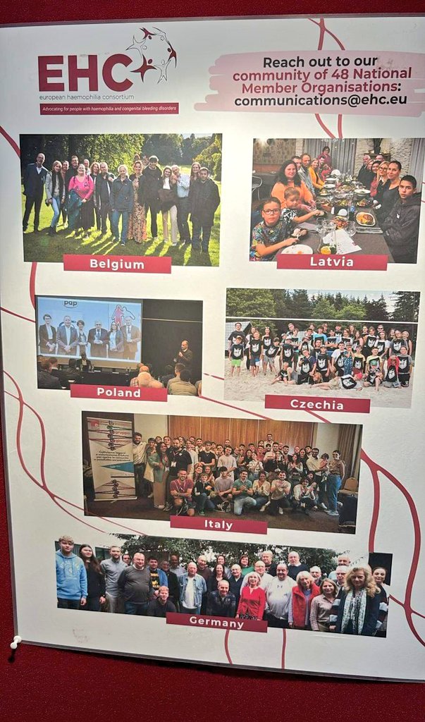 FedEmo_Giovani's tweet photo. @EHC_Haemophilia Conference 2024

📍 Sofia, Bulgaria
🗓️ 4-6 Ottobre 

Scopri il programma qui 👉🏻 https://t.co/ROvby6n3Po https://t.co/GvhGS7rHBJ