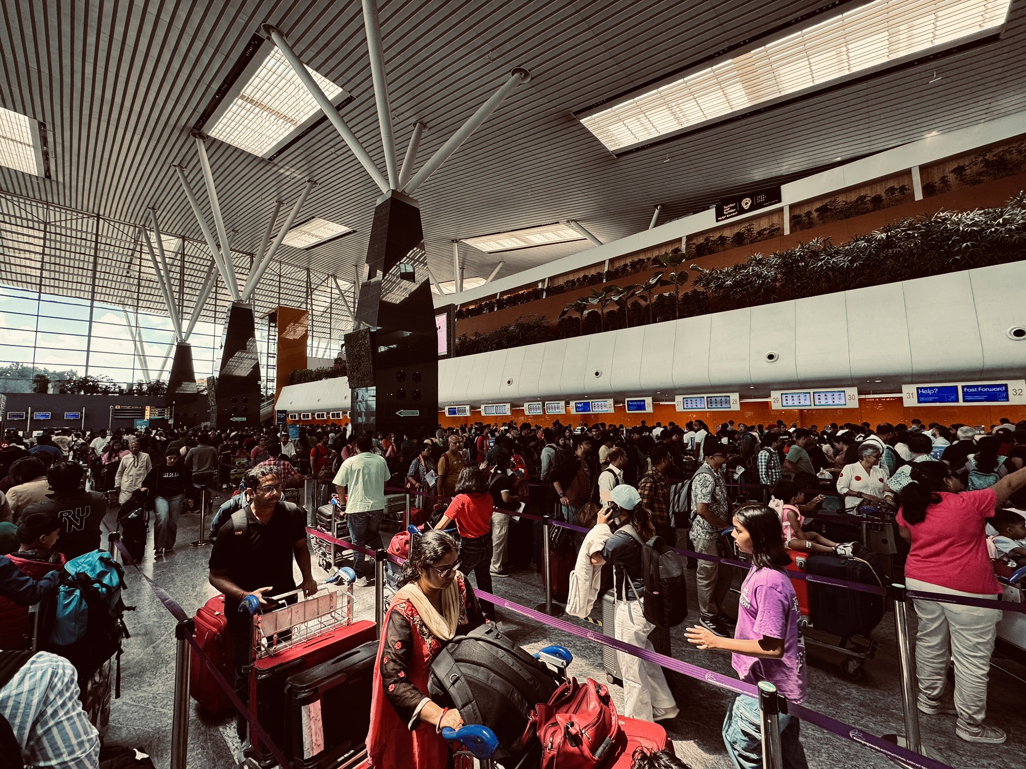 INDIGO