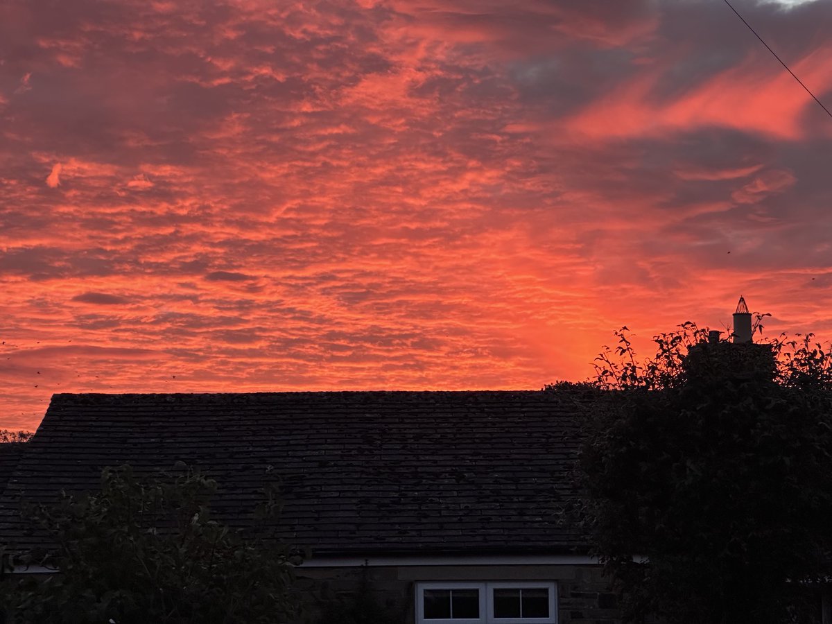 Nigel Varney tweet media