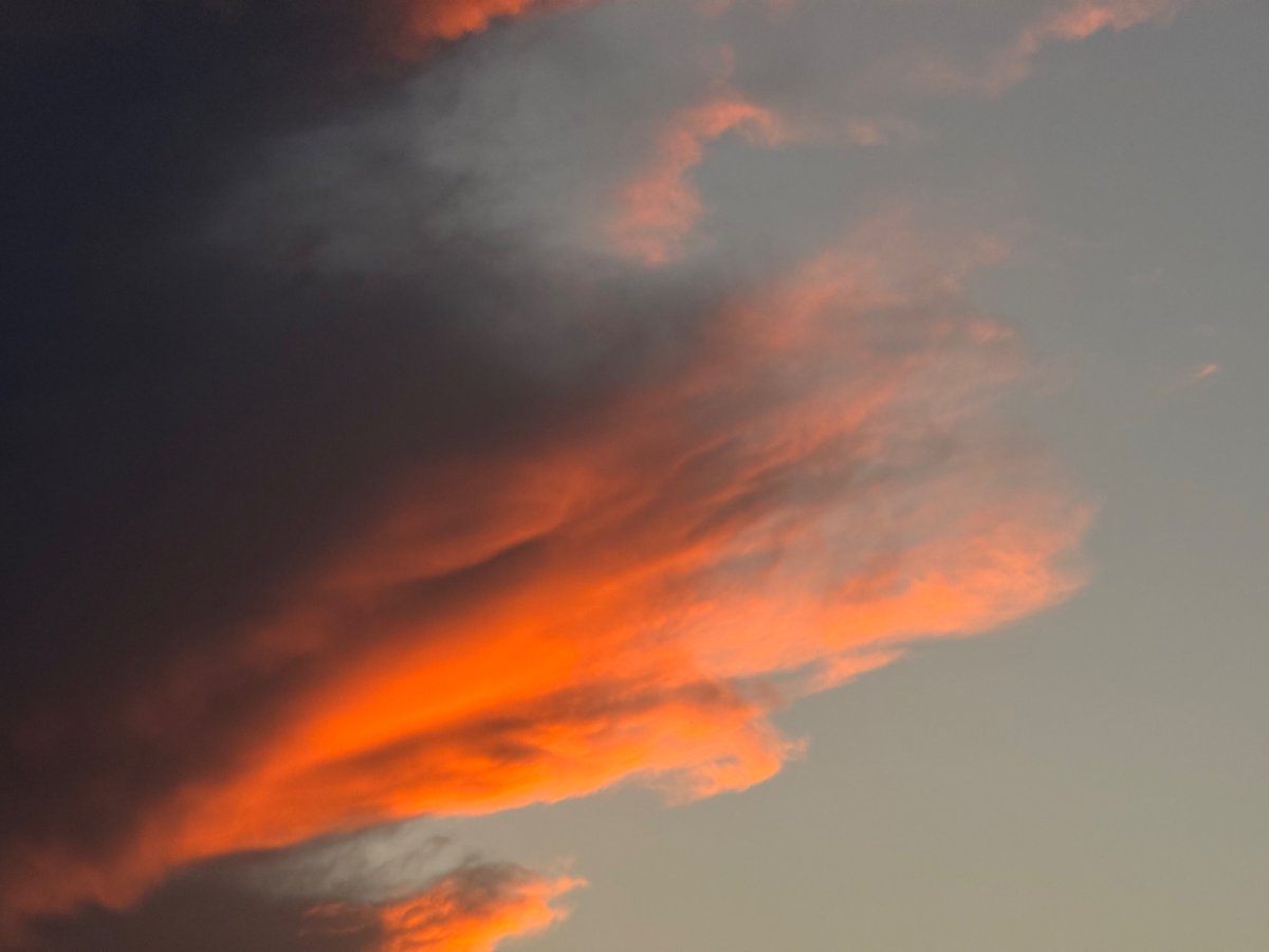 praesthetickk's tweet photo. orange hues. https://t.co/f4kJnlQ8de
