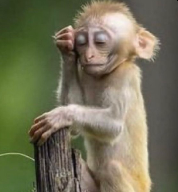 WEEKEND GAIN
WE FB🔥
@Kanuma_Rw
<a href="/Nawebaguhe/">TAPI</a>
<a href="/TiTYnyawe1/">Nakatarazanzakazana</a>
<a href="/IGENUKWAYO24/">IGENUKWAYO Joyeuse</a>
<a href="/oarmy560/">Oneman Army</a>
<a href="/MUFASHAsam/">Samuel</a>
<a href="/sindaza/">SINDAZA 🇷🇼</a>
<a href="/Twinlakes100/">VISIT TWIN LAKES ( Burera and Ruhondo)</a>
<a href="/Man_redeemer/">Redeemer</a>
<a href="/Fabriziofan2022/">OBIDIENT</a>
@Karabaye14
@Ndakwiyamye
<a href="/Incakura__/">BAKAME 🇷🇼</a>
@Duwayee
<a href="/IranyumvaJ12/">IRANYUMVA Jeanne</a>
<a href="/vavajibu/">Gisubizo Valentin</a>
@Ganza_BI
<a href="/IranyumvaJ12/">IRANYUMVA Jeanne</a>
<a href="/kuranastase/">SIIR!</a>
<a href="/mr_gambi/">@ℊā𝐦𝙗¡🇿🇦</a>
<a href="/ClareDuffl48474/">CLAIRE!!! 🇬🇧 🇬🇧 🇬🇧 🇬🇧 🇬🇧 🇬🇧 🇬🇧</a>