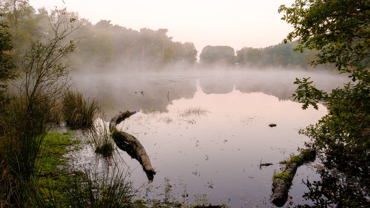 Ochtendmist in Twente
#weerfoto #mist #ochtend <a href="/WilliamHuizinga/">William Huizinga</a> <a href="/helgavanleur/">Helga van Leur ☀</a> <a href="/BuienRadarNL/">Buienradar</a> <a href="/RTLnieuws/">RTL Nieuws</a>