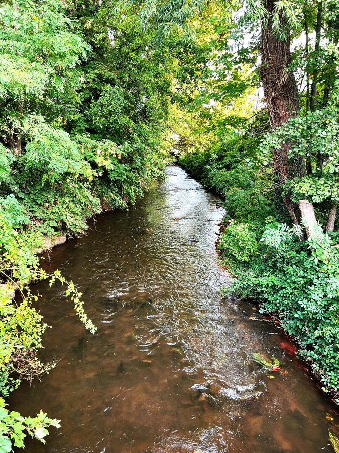 Nothing does the soul more good than the sound of running water, the rustling of leaves, the chirping of birds and the smell of the forest. We should spend our lives in nature more often than at home in front of the computer or television.💚☘️🌿🌱🌳🌲🍀💚