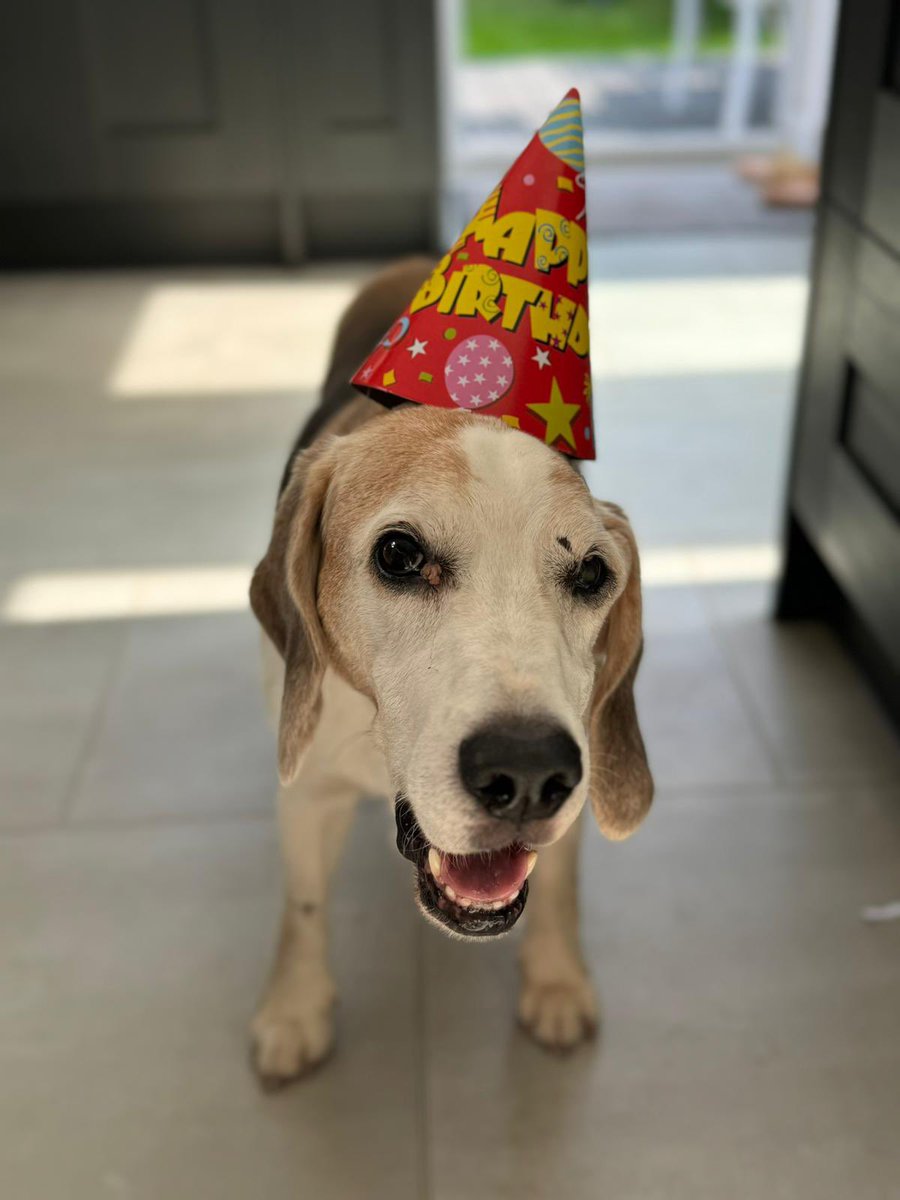 Spencer Pitts tweet media