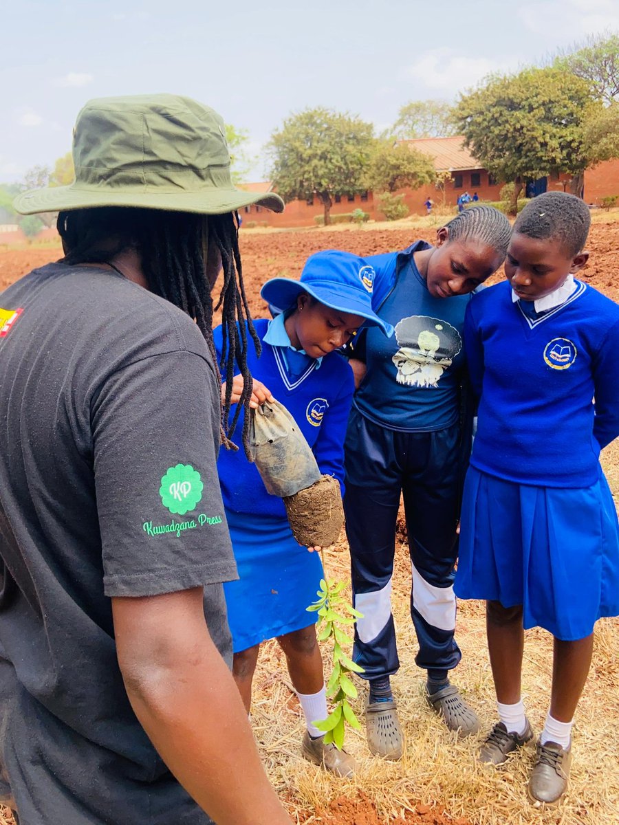 Green the Ghetto tweet media