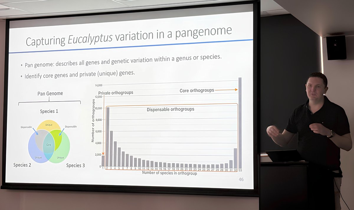 Ashley Jones (@dnawhisperer) on Twitter photo Many thanks for the overwhelming interest in our #Eucalyptus genome evolution research this week at <a href="/BiologyANU/">Biology at ANU</a> <a href="/PlantSci_ANU/">ANU Division of Plant Sciences</a>. It was amazing to see so many people at my presentation and hear such insightful questions! A shoutout to Zirui for capturing the moment📸 Many thanks for the overwhelming interest in our #Eucalyptus genome evolution research this week at <a href="/BiologyANU/">Biology at ANU</a> <a href="/PlantSci_ANU/">ANU Division of Plant Sciences</a>. It was amazing to see so many people at my presentation and hear such insightful questions! A shoutout to Zirui for capturing the moment📸