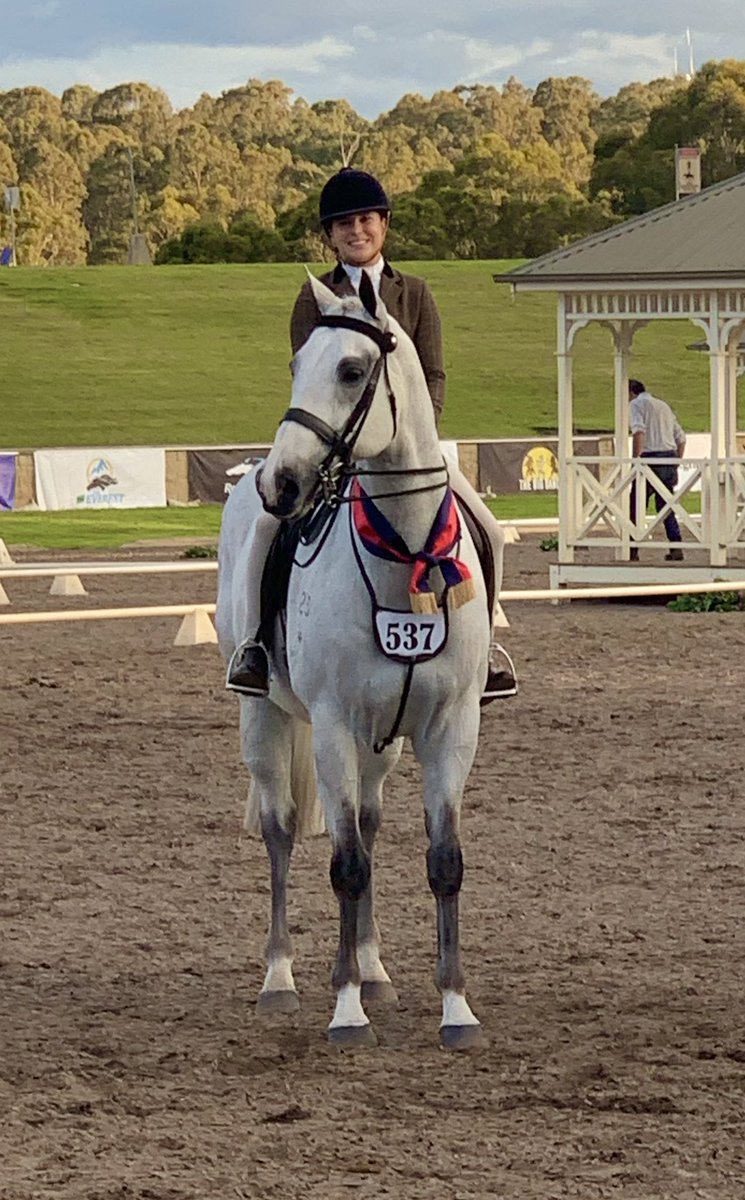 HillviewThorou1's tweet image. 🔥👑🦐
#thebestboy
Reserve Champion in a huge class of Show Hunters. Plus the juniors had to ride against the professionals.
Worked the place down in both workouts.
You rode amazing @siennarobinson_eq 

#hkjc #championsprinter #jjsize #showhunter
@equimillionevent…