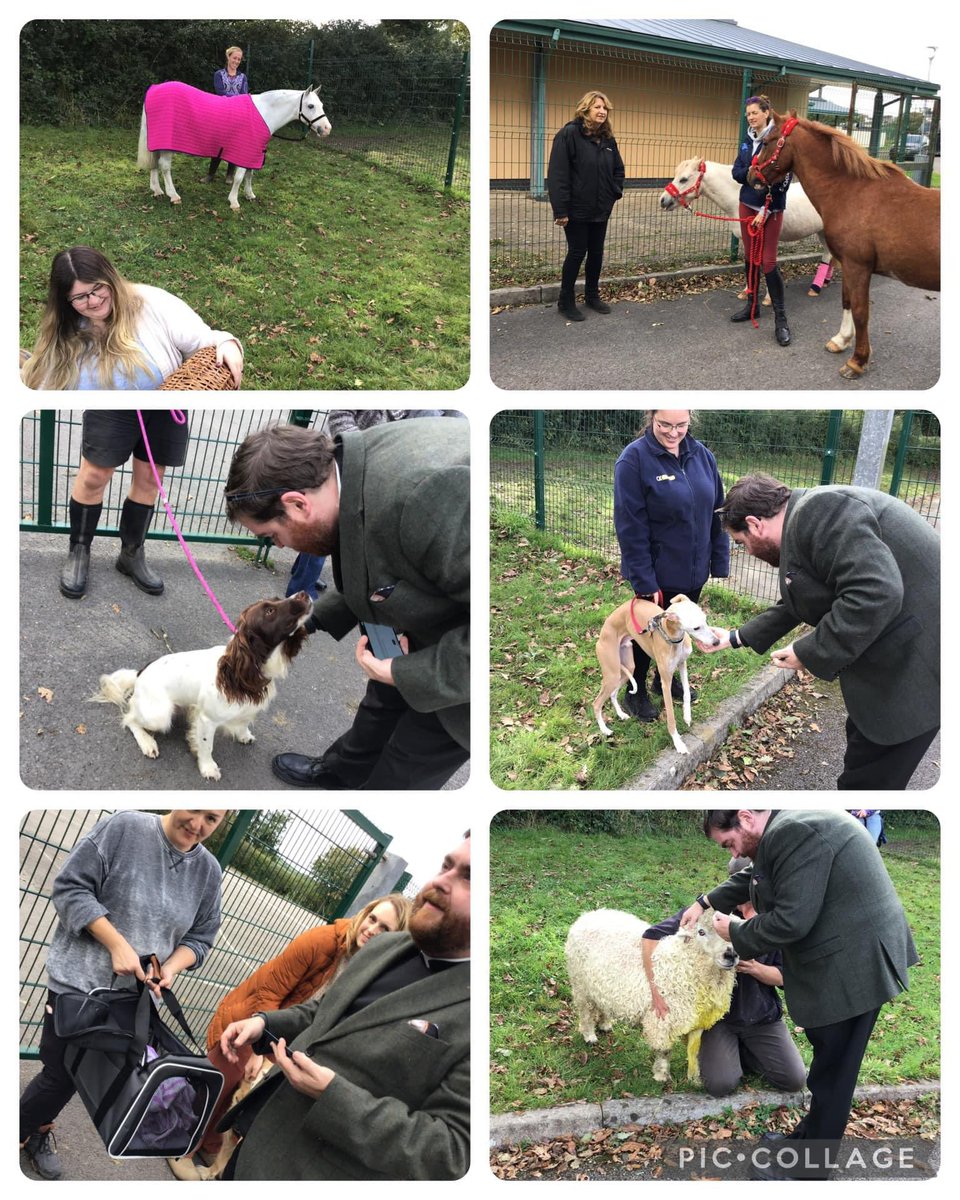 YsgolStOswallt's tweet photo. Celebrating Feast Day of St Francis with our very own Pets Assembly. Thank to the parents for bring the pets along - we had such a variety this year, and to Reverend Steve and Jeremy for joining us and celebrating our special pets. 🙏🏽 🐶 🐱 🐍 🐎 🐭 https://t.co/GKU1Roh9nM