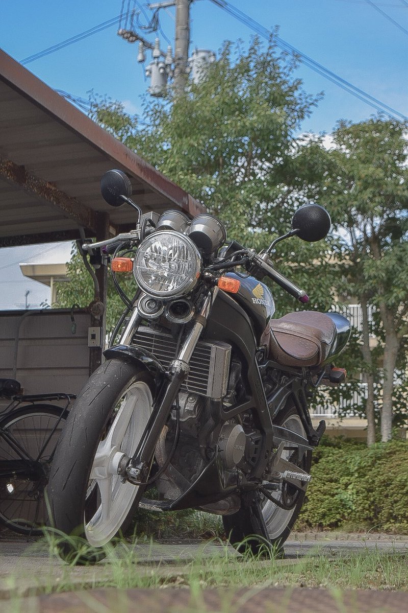 ____zx83's tweet image. #NikonD5300
 #カメラデビュー
 #VT250スパーダ
やっと自分のカメラで撮れた！！🥲🥲