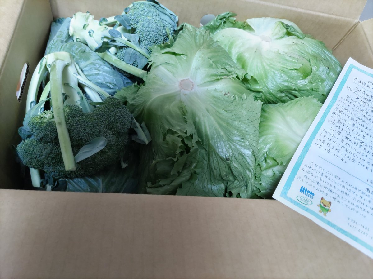 <a href="/dic_private/">DIC信濃川上(カジュアル)</a> ありがとうございました
本日届きました
野菜大好きなのでうれしいです