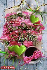 RITABIANCHi56 tweet media