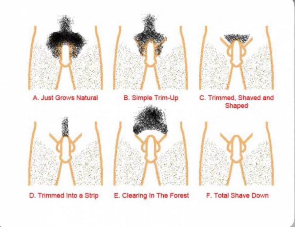 TheoduliX's tweet photo. Today it’s manscaping time, which one should I do? Show me your trim 🪒

Aujourd’hui c’est la tonte, vous voulez voir lequel? Montrez moi comment vous vous entretenez en com 🍆😛
#gay #dick #bigdick https://t.co/gQuGP41Jxg