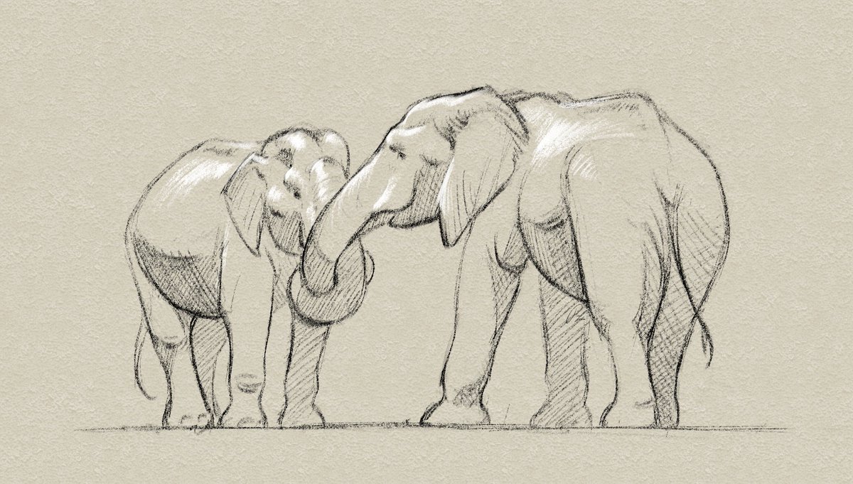 How To Draw an Elephant: 10 Easy Drawing Projects, image size:1200x681