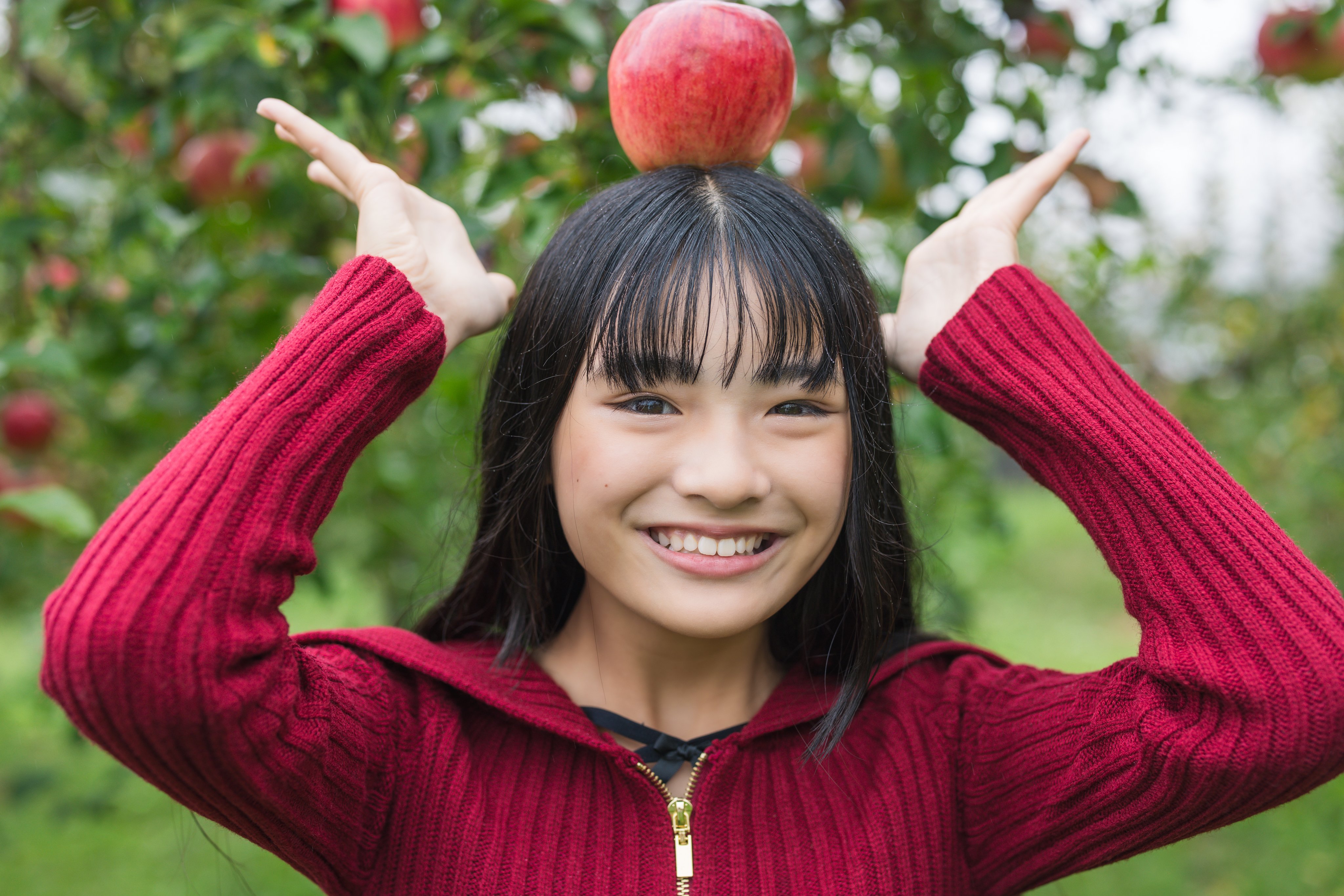 きしん（おじじ） on X: 