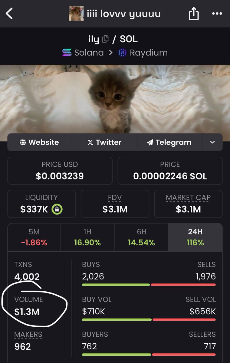 pixelyx's tweet photo. Nice volume on $ily here. Gonna send it 10x higher the way they sent $hehe. Memecoins supercycle. https://t.co/6tKjEPppsz